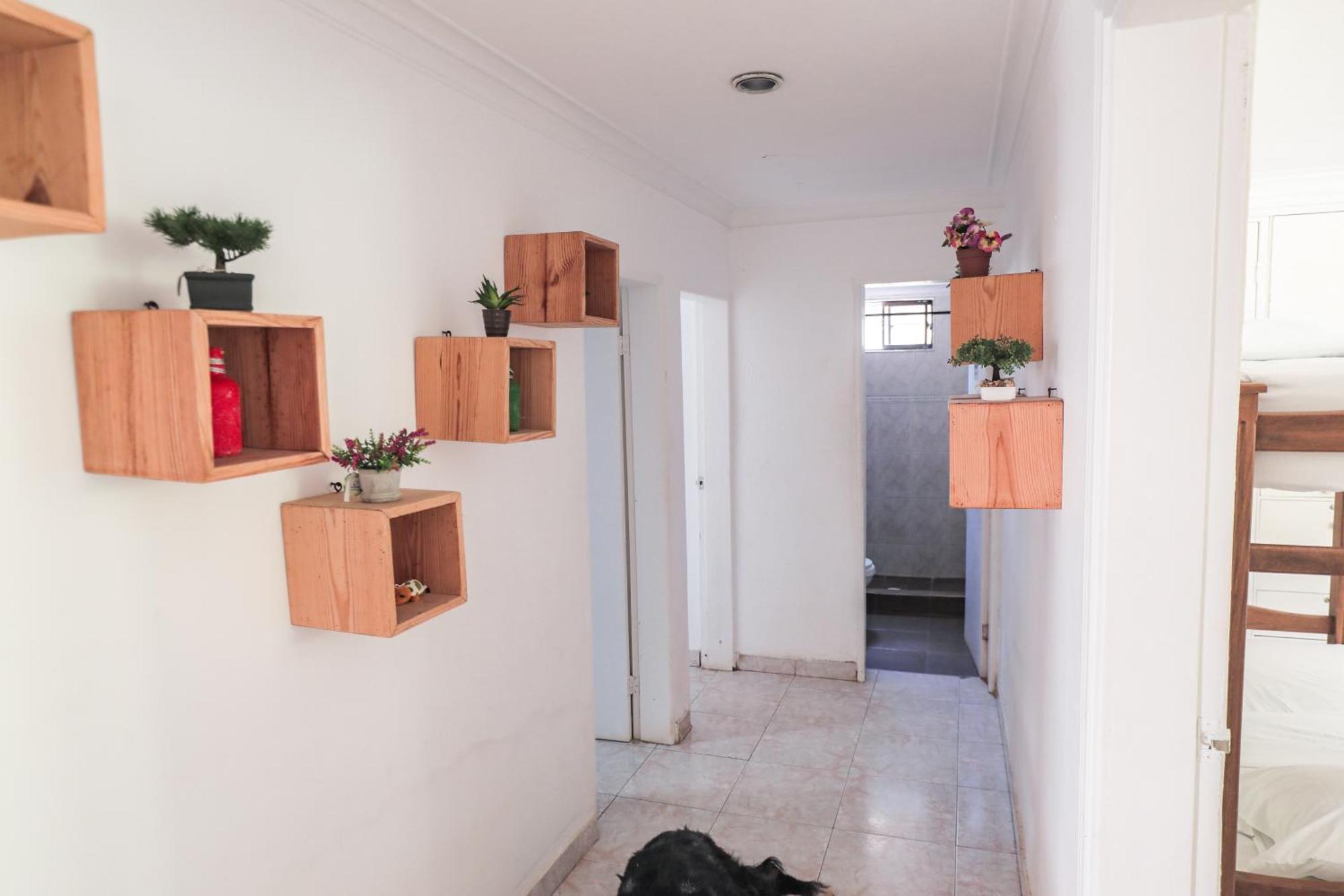 Hostal Palo Alto San Andrés Exteriér fotografie